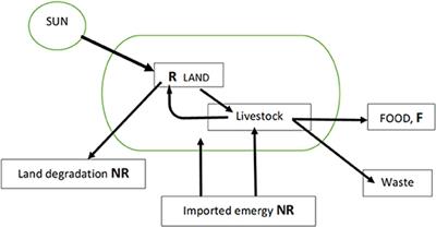 Green Milk From Contented Cows: Is It Possible?